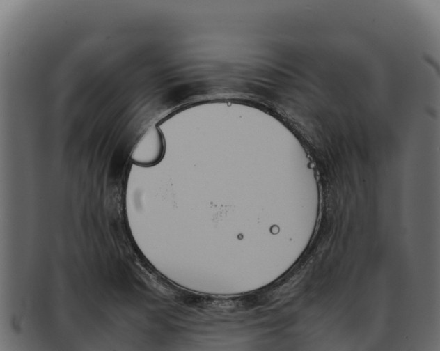 X0000092291177200710041423