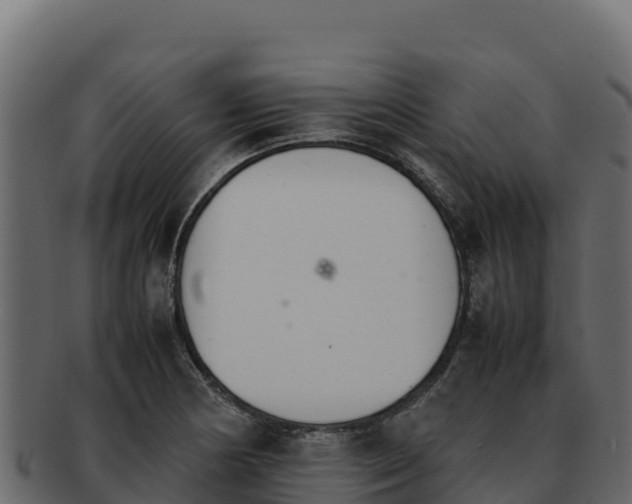 X0000092291178200710041423