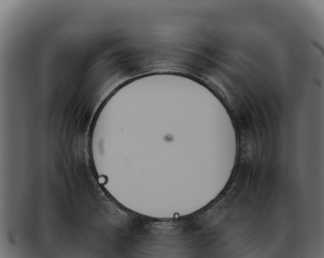 X0000092291182200710041423