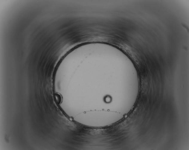 X0000092291184200710041423