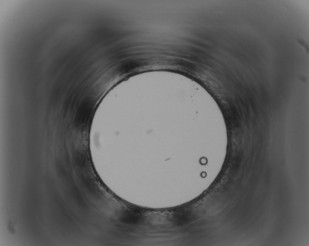 X0000092291185200710041423