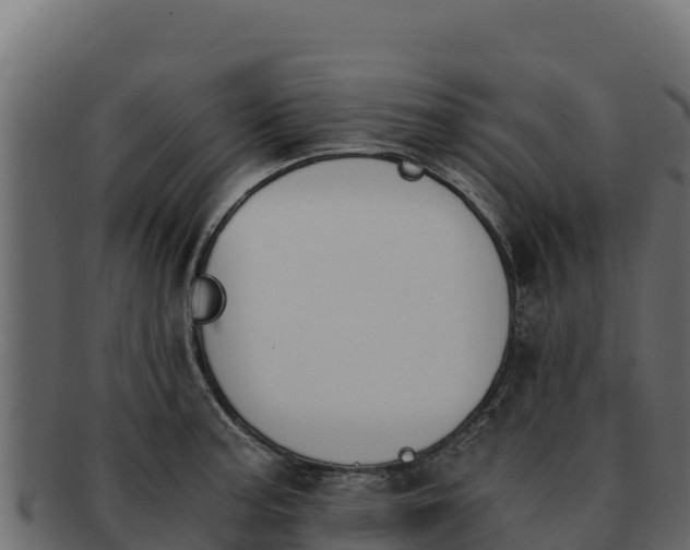 X0000092291187200710041423