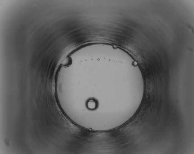 X0000092291188200710041423