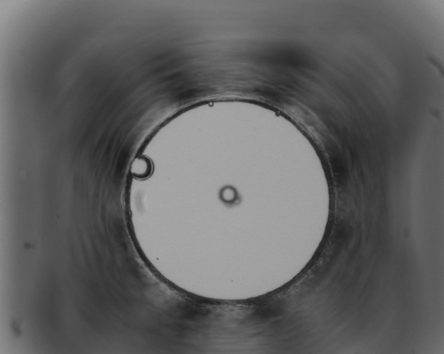 X0000092291189200710041423