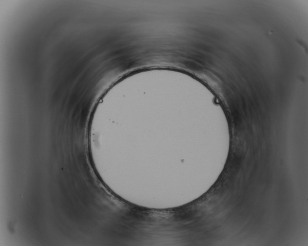 X0000092291191200710041423