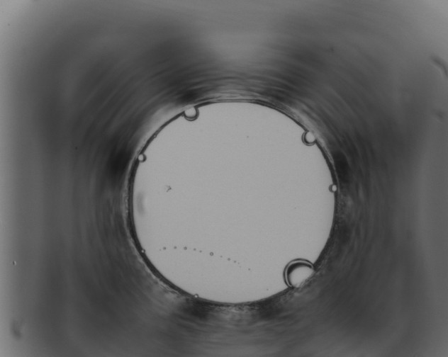 X0000092291195200710041423