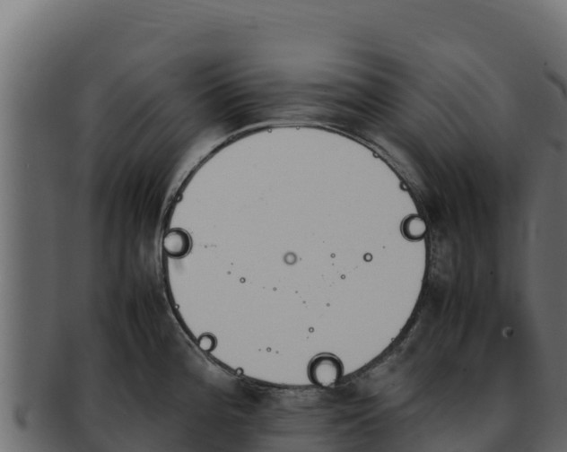 X0000092291196200710041423