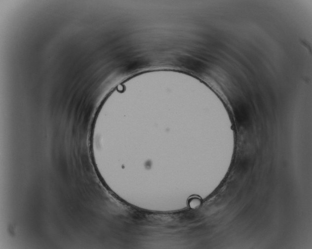 X0000092291197200710041423