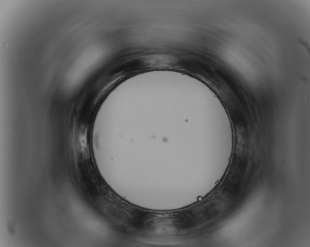 X0000092291198200710041423