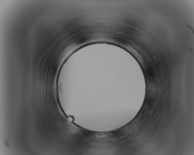 X0000092291199200710041423