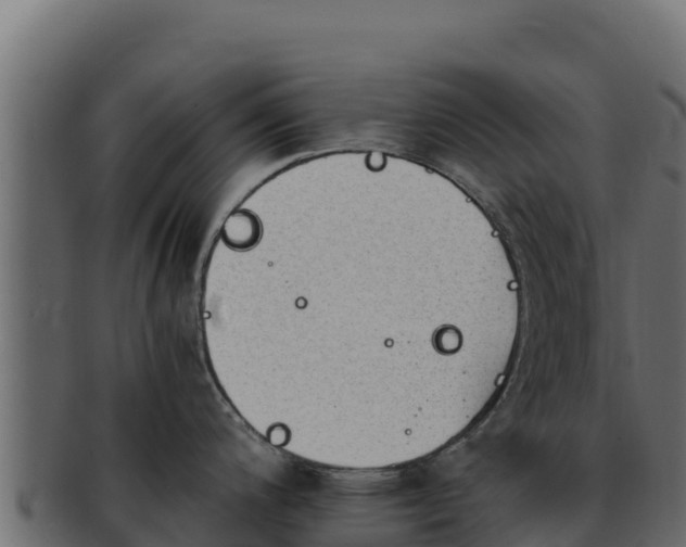 X0000092291200200710041423