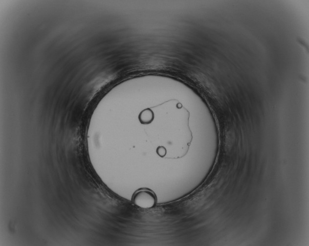 X0000092291210200710041423