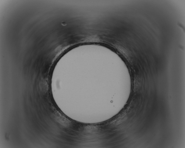 X0000092291212200710041423