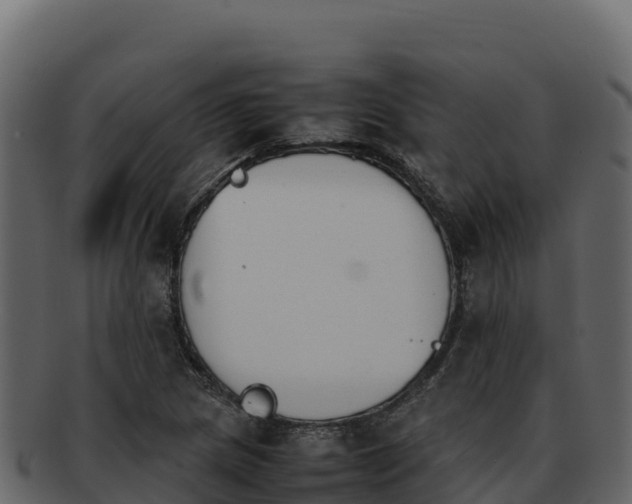 X0000092291217200710041423