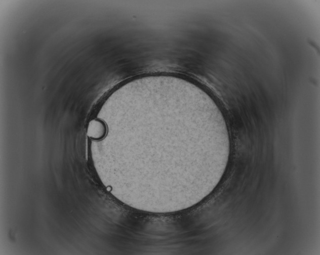 X0000092291219200710041423