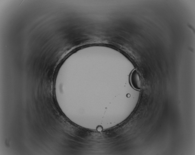 X0000092291220200710041423