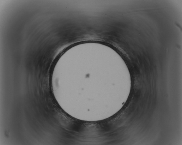 X0000092291222200710041423