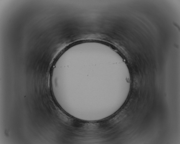 X0000092291224200710041423