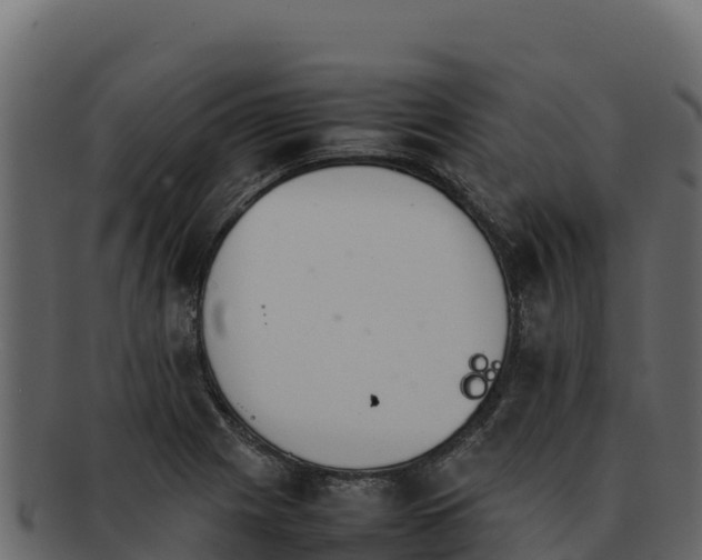 X0000092291225200710041423