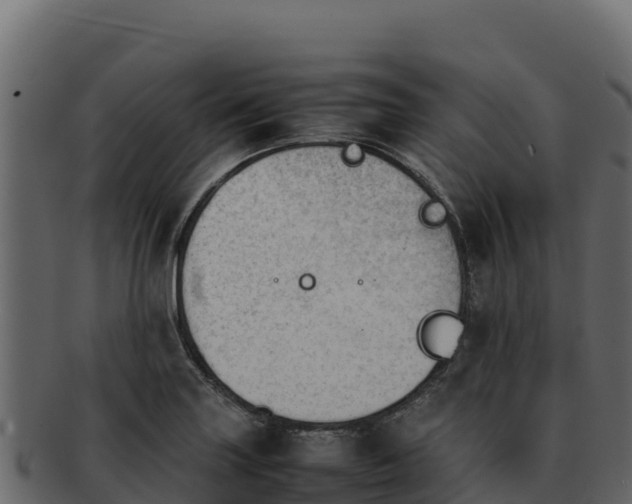 X0000092291227200710041423