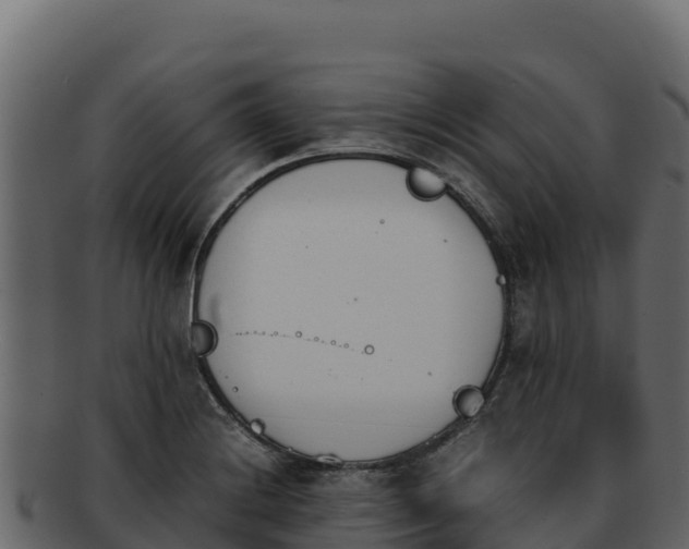 X0000092291228200710041423