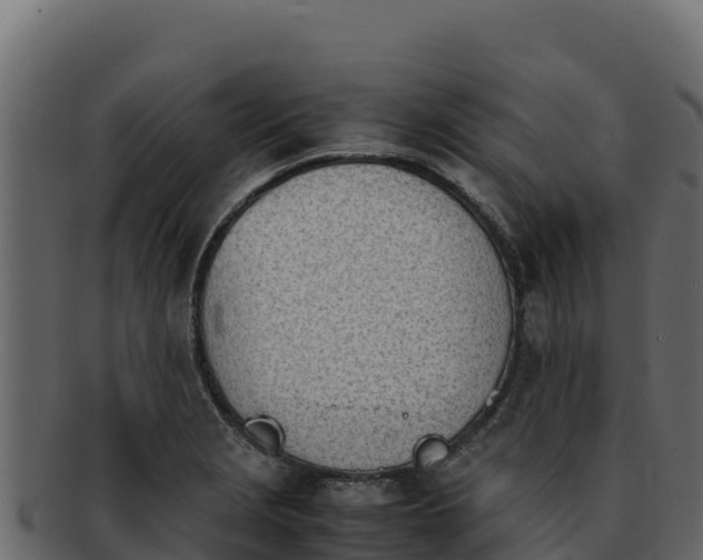 X0000092291229200710041423