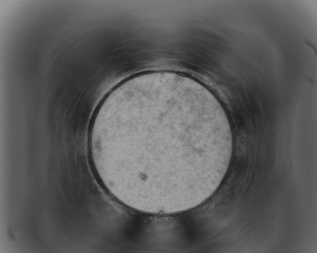 X0000092291231200710041423