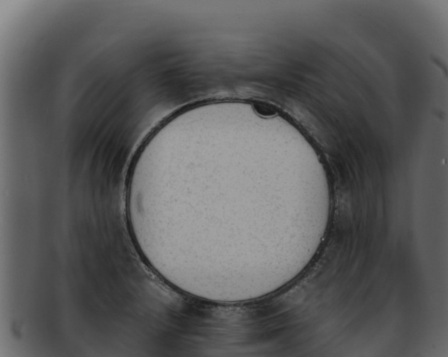 X0000092291232200710041423