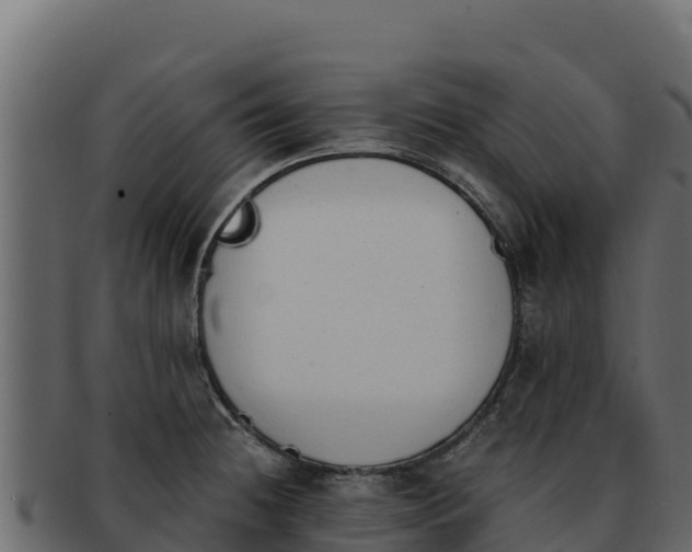 X0000092291236200710041423