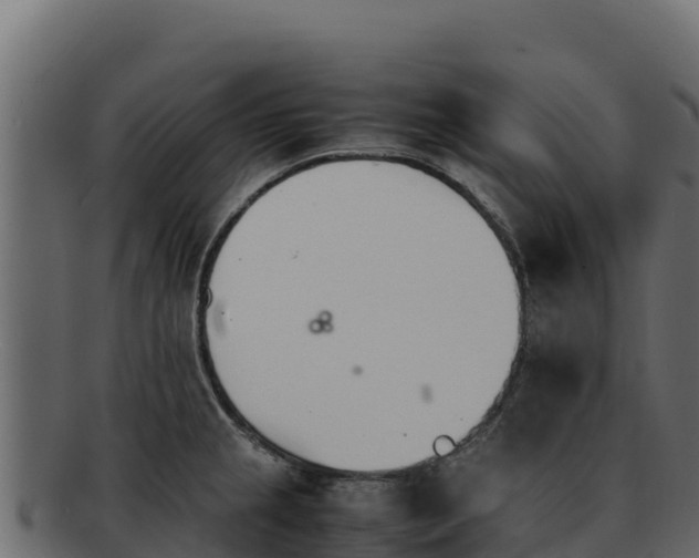 X0000092291237200710041423