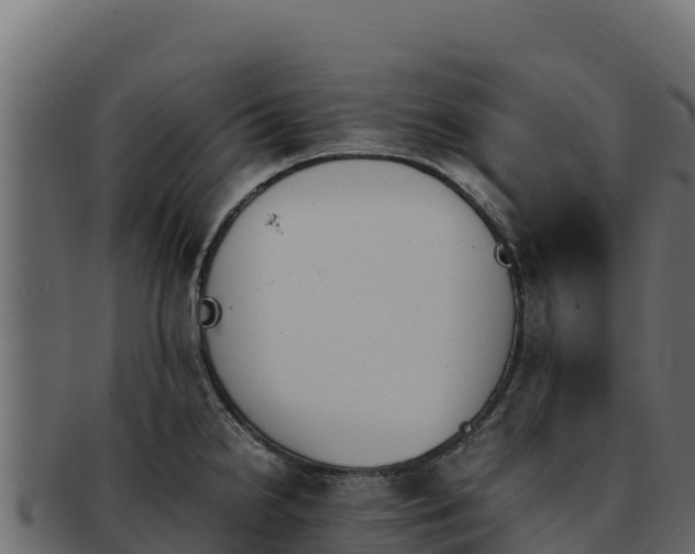 X0000092291238200710041423