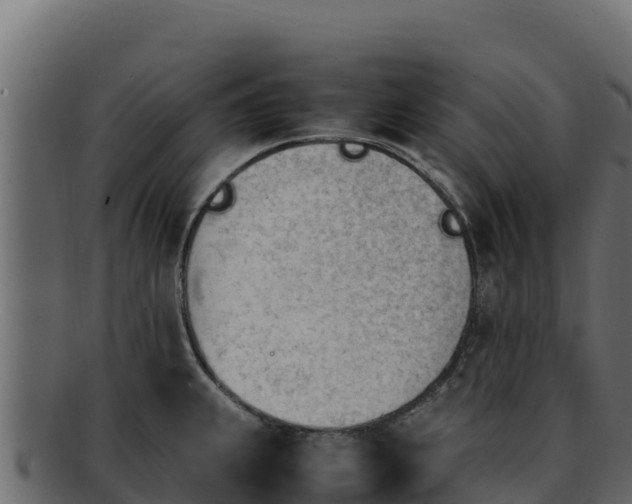 X0000092291239200710041423