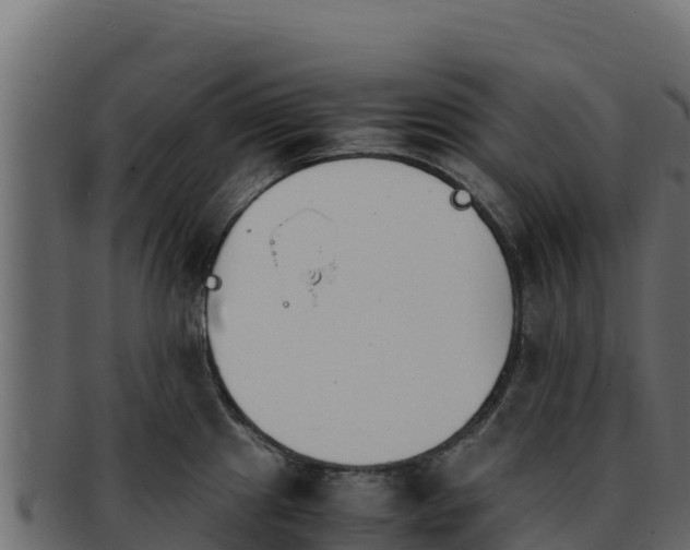 X0000092291241200710041423