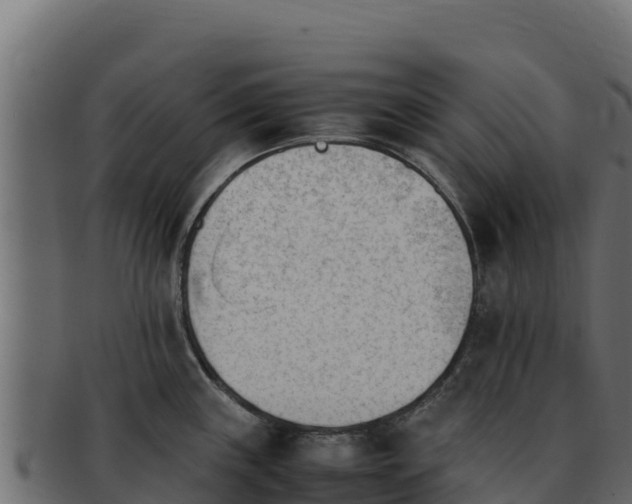 X0000092291243200710041423