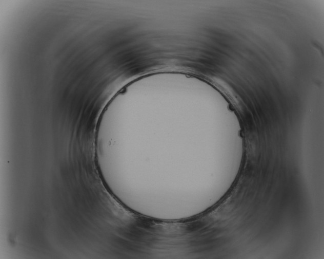 X0000092291244200710041423