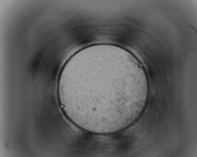 X0000092291245200710041423