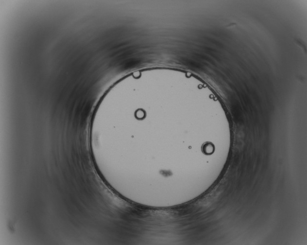 X0000092291246200710041423