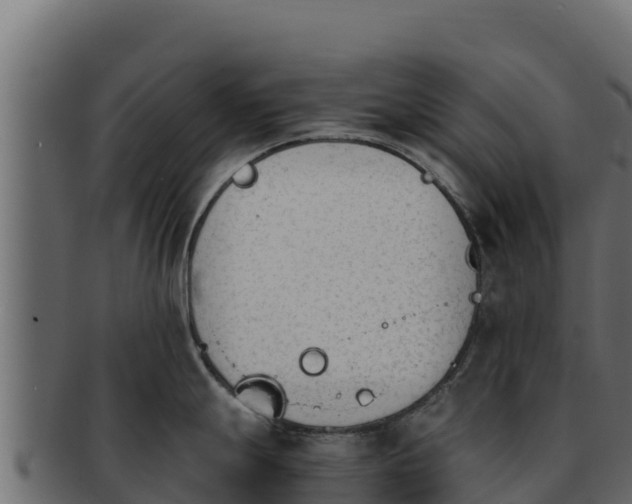 X0000092291247200710041423