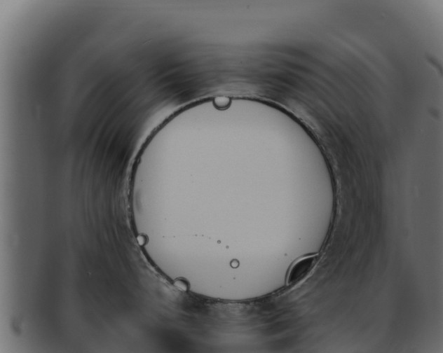 X0000092291248200710041423