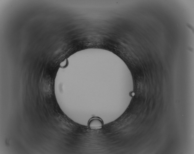 X0000092291250200710041422