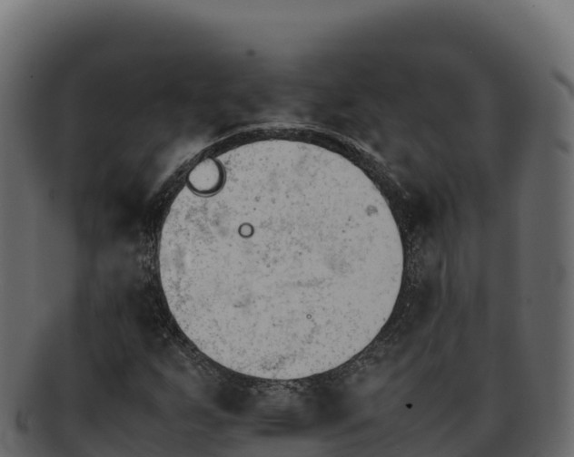 X0000092291255200710041422