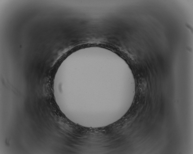 X0000092291256200710041422