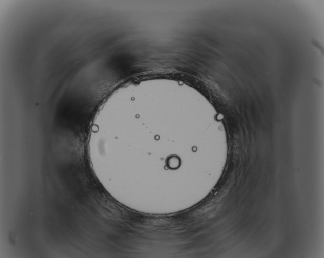 X0000092291257200710041422