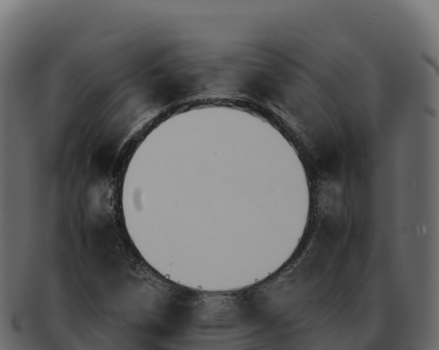 X0000092291258200710041422