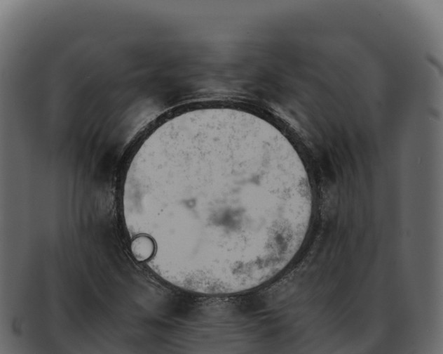 X0000092291259200710041422