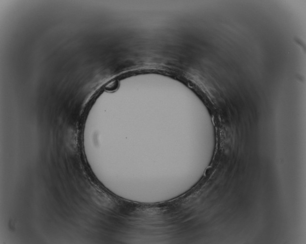 X0000092291260200710041422