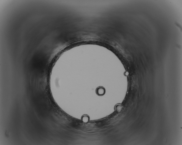 X0000092291261200710041422