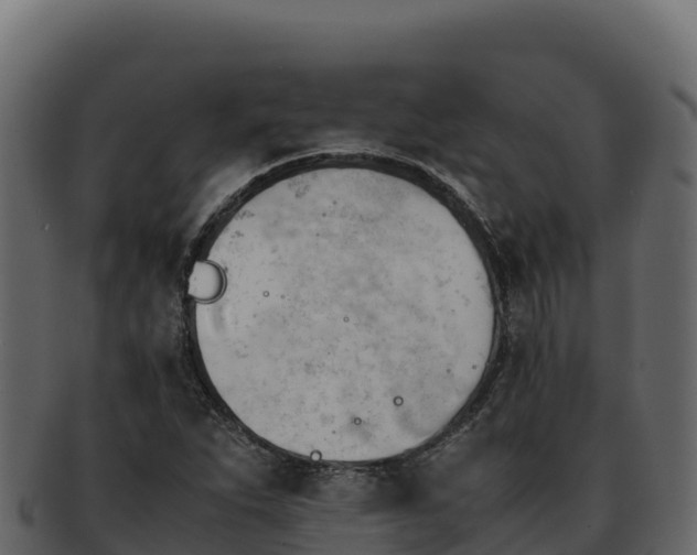 X0000092291263200710041422