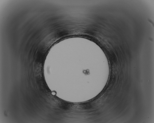 X0000092291265200710041422