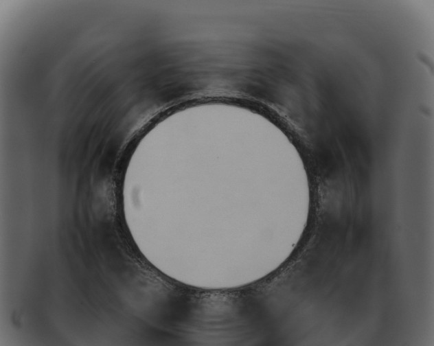 X0000092291266200710041422